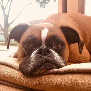 Meet your Posher, Stacey galle